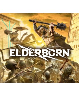 ELDERBORN Steam Key GLOBAL
